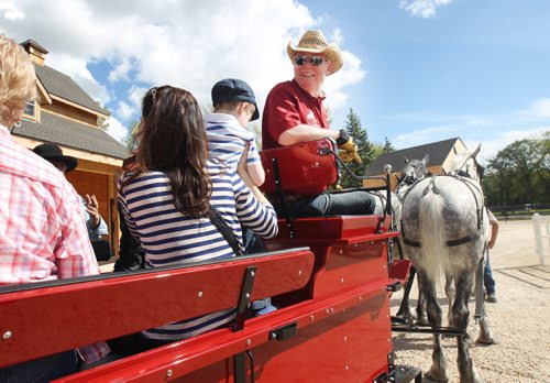 Former Great West Lifeco CEO and Chairman Ray McFeetors, right, leads a team of Percheron work horses  to give people a wagon ride at the new McFeetors Heavy Horse Centre at Assiniboine Park Zoo Wednesday  The new 4.7 acre exhibit was kick started with a $2million dollar donation from Mcfeetors- The new exhibit will officially open to the public on Aug 28, 2015-Standup Photo- Aug 19, 2015   (JOE BRYKSA / WINNIPEG FREE PRESS)