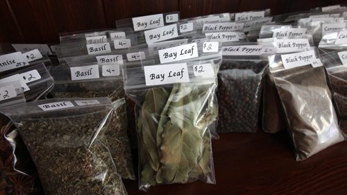 Chad Cornell and Nancy Hall own Hollow Reed Café 875 Corydon Ave. Fresh herbs/ spices-See Alexander Paul story- Aug 19, 2015   (JOE BRYKSA / WINNIPEG FREE PRESS)