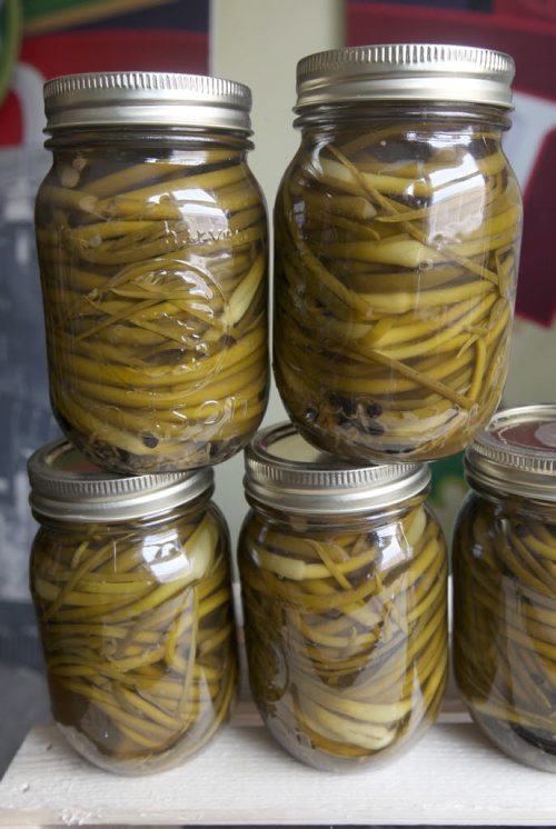 flora & farmer, a Winnipeg co. that produces super-creative jams, spreads, relishes and pickles- In these jars lemon pepper garlic scape  . (See Dave Sanderson story)- Aug 21, 2015   (JOE BRYKSA / WINNIPEG FREE PRESS) ( Eds name flora & farmer is in lower case)