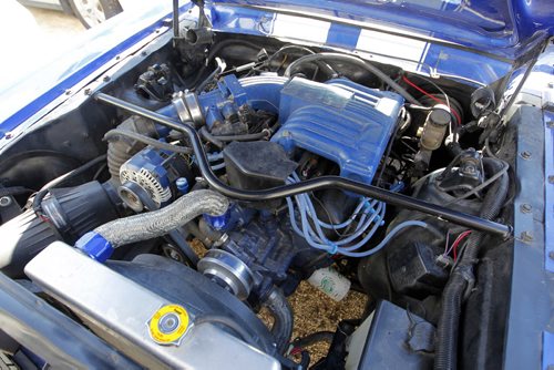 AUTO - Brad MacDonald's 1966 Mustang. Has 5L motor and trans from a newer mustang. BORIS MINKEVICH / WINNIPEG FREE PRESS PHOTO August 24, 2015