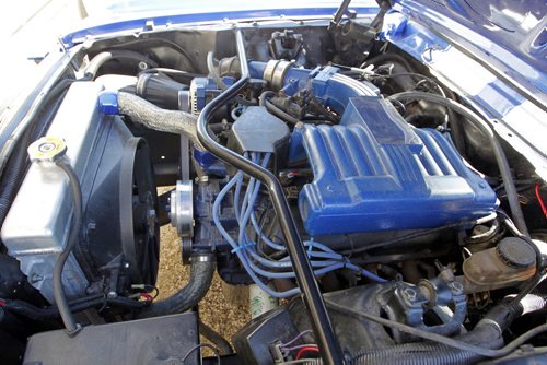 AUTO - Brad MacDonald's 1966 Mustang. Has 5L motor and trans from a newer mustang. BORIS MINKEVICH / WINNIPEG FREE PRESS PHOTO August 24, 2015