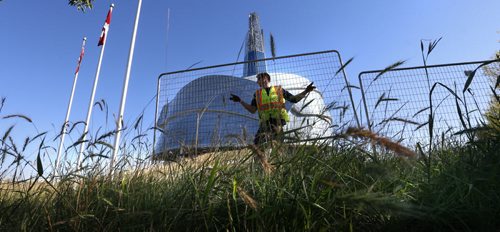 Desmond Proulx with Midwest Fencing helps pack up the fencing Tuesday morning that has surrounded the Canadian Museum for Human Rights for the past two years protecting the native grasses as they took hold.  Wayne Glowacki / Winnipeg Free Press August 25   2015