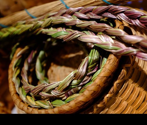 Braided Sweetgrass a traditional medicine. See Alex Paul's story re: Sweetgrass as mosquito repellant. August 25, 2015 - (Phil Hossack / Winnipeg Free Press)