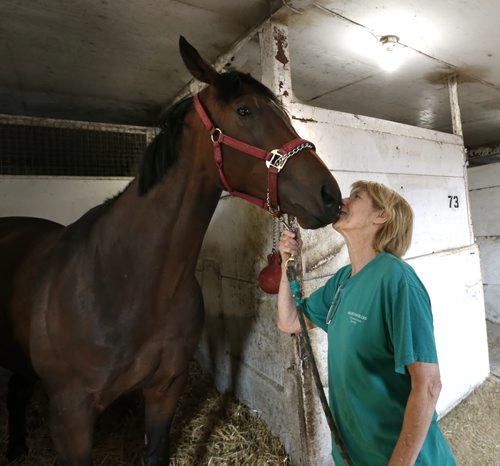 Trainer Connie Clauson with horse Kenton in the stable area at the  Assiniboia Downs backstretch after feeding it a candy mint. Small time owner/trainer with good Manitoba bred horse.  Wayne Glowacki / Winnipeg Free Press August 27   2015