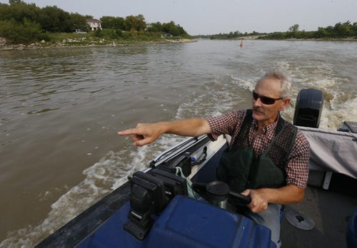 Ken Schultz takes his boat on the Red River north of the St. Andrews Lock and Dam in Lockport Mb.searching for American White Pelicans tangled with fishing line.   Ashley Prest story Wayne Glowacki / Winnipeg Free Press August 28  2015