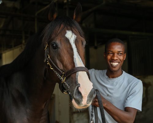 Groomer Ishaniel 'Chippy' Shaw with Magic D' Oro one of the contenders in the weekend stakes at Assiniboia Downs. 150903 - Thursday, September 03, 2015 -  MIKE DEAL / WINNIPEG FREE PRESS