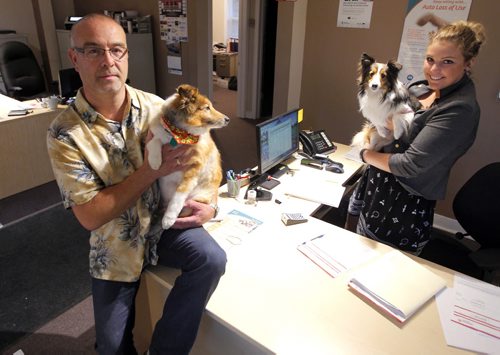 Bring your pets to work story - Leonard Larner with his dog Harley and Kate Vadeboncoeur holds Belle. The dogs are in the Insurance company they are at all day. BORIS MINKEVICH / WINNIPEG FREE PRESS PHOTO Sept. 4, 2015
