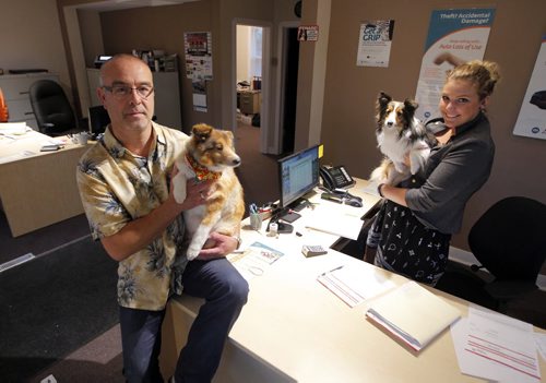 Bring your pets to work story - Leonard Larner with his dog Harley and Kate Vadeboncoeur holds Belle. The dogs are in the Insurance company they are at all day. BORIS MINKEVICH / WINNIPEG FREE PRESS PHOTO Sept. 4, 2015