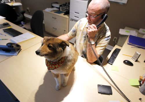Bring your pets to work story - Leonard Larner with his dog Harley. The dog is in the Insurance company all day. BORIS MINKEVICH / WINNIPEG FREE PRESS PHOTO Sept. 4, 2015