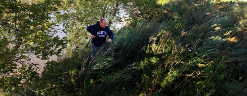 Wayne Gacek beat the bushes along the Red River near Whittier Park Tuesday evening, searching for his dear friend Jill Tardiff. Recently released from hospital Jill went missing early Monday morning. See shley Prest story. September 8, 2015 - (Phil Hossack / Winnipeg Free Press)