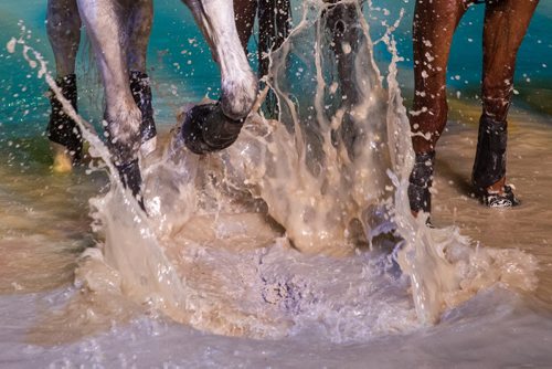 Around 100 VIP's were invited to an exclusive 50-minute sneak peek of Odysseo, Cavalias larger-than-life theatrical production, Wednesday afternoon at the gigantic tent set up just off of Kenaston Blvd. The preview featured visual highlights and unique moments of the show which has its opening night Thursday, September 10. 150909 - Wednesday, September 09, 2015 -  MIKE DEAL / WINNIPEG FREE PRESS