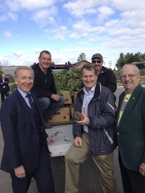 Winnipeg Airports Authority president and CEO Barry Rempel, Winnipeg Harvest executive director David Northcott and Grow-A-Row founder Ron O'Donovan with one of the pickup trucks filed with vegetables from WAA garden. On truck are WAA's Dwayne Long (left) and Darcy Toderan.  They are at the vegetable drop off at harvest of the third annual Grow-A-Row business challenge.  Sept.10/2015 Kevin Rollason / Winnipeg Free Press