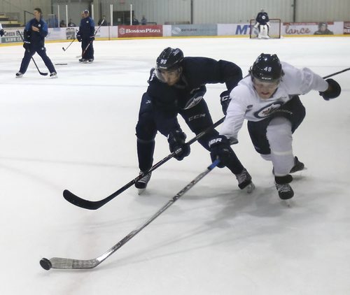 At right, left winger Brendan Lemieux and #90 defenceman Marcus Karlstrom chase the puck during drills at the Winnipeg Jets rookie camp at the MTS Iceplex Thursday. Ed Tait story. Wayne Glowacki / Winnipeg Free Press September 10 2015