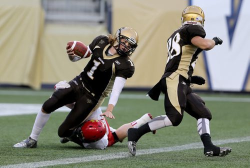 Manitoba Bisons' quarterback, Theo Deezar, is sacked for a safety by Calgary Dinos' Micah Teitz during their football game, Friday, September 11, 2015. (TREVOR HAGAN/WINNIPEG FREE PRESS)