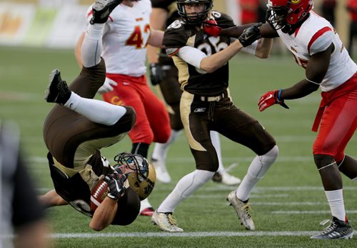 Manitoba Bisons' Alex Christie flips upside down as he scores a touchdown against the Calgary Dinos' during their football game, Friday, September 11, 2015. (TREVOR HAGAN/WINNIPEG FREE PRESS)