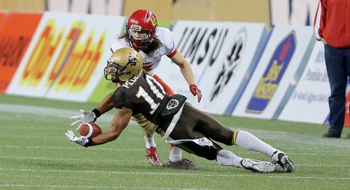 Manitoba Bisons' Dustin Pederson can't make a tough catch in front of Calgary Dinos' Adam Laurensse during their football game, Friday, September 11, 2015. (TREVOR HAGAN/WINNIPEG FREE PRESS)