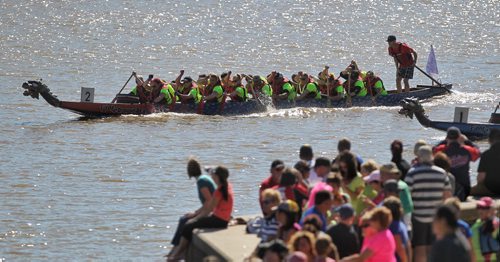 Rowers put everything they have into the 2015 FMG Manitoba Dragon Boat Festival at The Forks Sunday. The charity event raises money for CancerCare Manitoba Foundation and  The Children's Hospital Foundation of Manitoba.  150913 September 13, 2015 MIKE DEAL / WINNIPEG FREE PRESS