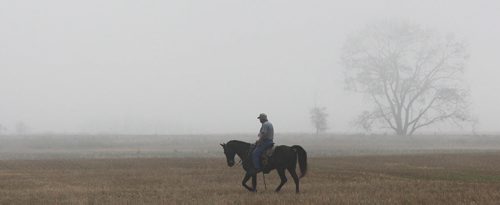 Colvin  Daviss rides his horse through a foggy field at the fields of  Broomhill, Manitoba farm - See Bill Redekop 49.8 English pointer feature- Sept 01, 2015   (JOE BRYKSA / WINNIPEG FREE PRESS)