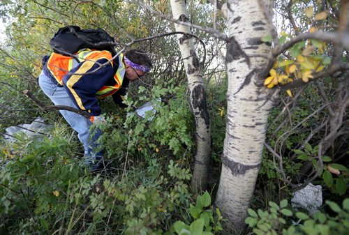 Bill McCausland continues the search for Thelma Krull, Wednesday, September 16, 2015. (TREVOR HAGAN/WINNIPEG FREE PRESS)