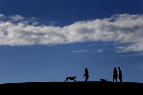 September 21, 2015 - 150920  -  People walk they dogs at Westview Park Monday, September 21, 2015.   John Woods / Winnipeg Free Press