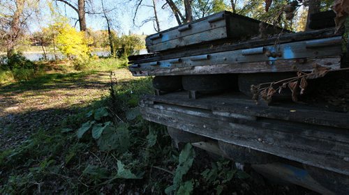 Sections of a long un-used dock lay stacked beside the Red River at Kildonan Park.  September 29, 2015 - (PHIL HOSSACK / WINNIPEG FREE PRESS)