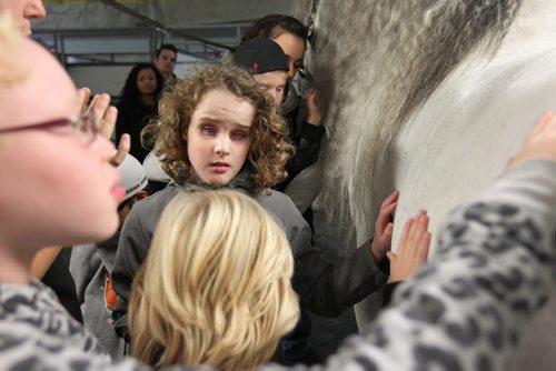 twelve-year-old Ian Dyck (curly hair, centre) who is visually impaired, slowly runs his hand over the coat of a horse while visiting Odysseos equestrian world with other CHILDREN FROM THE CANADIAN NATIONAL INSTITUTE FOR THE BLIND on Thursday afternoon.   See story.   Oct 01, 2015 Ruth Bonneville / Winnipeg Free Press