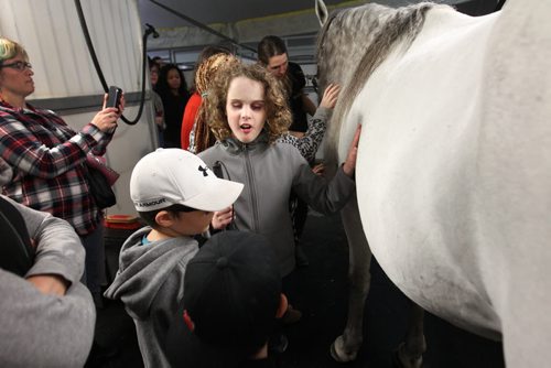 Twelve-year-old Ian Dyck (curly hair, centre) who is visually impaired, slowly runs his hand over the coat of a horse while visiting Odysseos equestrian world with other CHILDREN FROM THE CANADIAN NATIONAL INSTITUTE FOR THE BLIND on Thursday afternoon.   See story.   Oct 01, 2015 Ruth Bonneville / Winnipeg Free Press