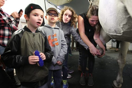 Ashton Francey (left), his brother Benjamyn (white hat) and  Ian Dyck (curly hair, centre) all visually impaired, touch and feel the coat and hoofs of horses  while visiting Odysseos equestrian world with other CHILDREN FROM THE CANADIAN NATIONAL INSTITUTE FOR THE BLIND on Thursday afternoon.   See story.   Oct 01, 2015 Ruth Bonneville / Winnipeg Free Press