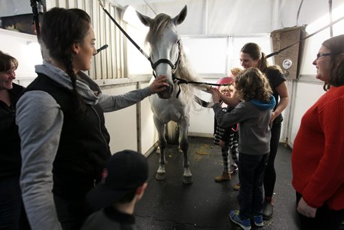 CHILDREN FROM THE CANADIAN NATIONAL INSTITUTE FOR THE BLIND visually impaired touch the coat of a horse while visiting Odysseos equestrian world on Thursday afternoon.   See story.   Oct 01, 2015 Ruth Bonneville / Winnipeg Free Press