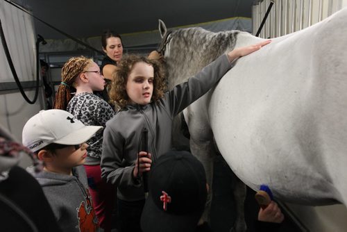 Twelve-year-old Ian Dyck (curly hair, centre) who is visually impaired, slowly runs his hand over the coat of a horse while visiting Odysseos equestrian world with other CHILDREN FROM THE CANADIAN NATIONAL INSTITUTE FOR THE BLIND on Thursday afternoon.   See story.   Oct 01, 2015 Ruth Bonneville / Winnipeg Free Press