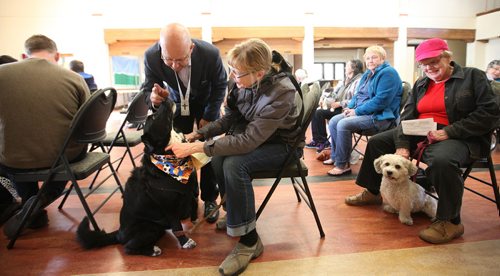 Blessing of animals.   The Rev. Paul Lampman, Rector at St. Luke Parish says a blessing for eight-year-old "Rufus" with his owner, Nancy Dunn present Saturday during the annual event. Standup photo   Oct 03, 2015 Ruth Bonneville / Winnipeg Free Press