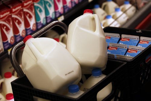 October 6, 2015 - 151006  - Milk photographed at Food Fare Tuesday, October 6, 2015. The Manitoba government announced a food subsidy program to assist northern communities. John Woods / Winnipeg Free Press