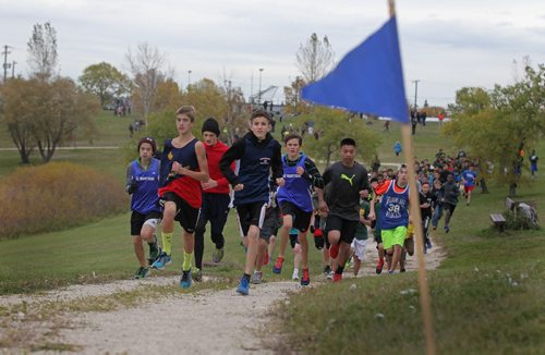 Boys in the  junior division make their way up the hill at Woodsworth Park as they compete in a Winnipeg One School Division cross-country race Wednesday afternoon.   Standup photo  Oct 07, 2015 Ruth Bonneville / Winnipeg Free Press