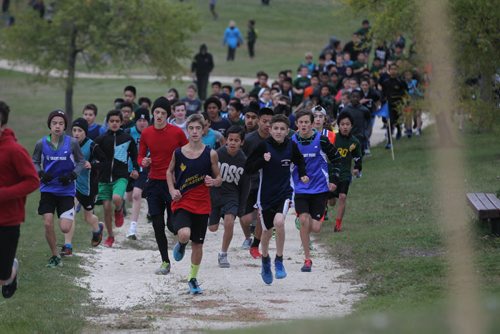 Boys in the  junior division make their way up the hill at Woodsworth Park as they compete in a Winnipeg One School Division cross-country race Wednesday afternoon.   Standup photo  Oct 07, 2015 Ruth Bonneville / Winnipeg Free Press
