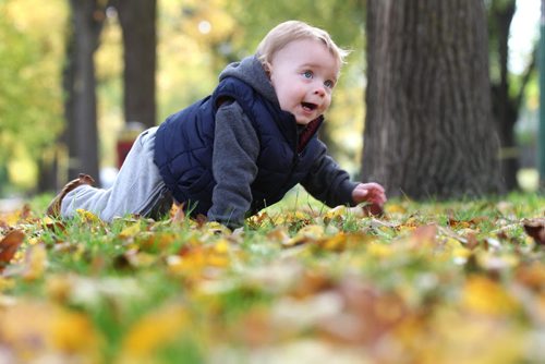 11 month old Eddie Tokaruk, shows his excitement as he crawls around in the colourful leaves on the ground at Cordova Park Friday afternoon while playing in the park with his Grandma. Standup photo  Oct 09, 2015 Ruth Bonneville / Winnipeg Free Press