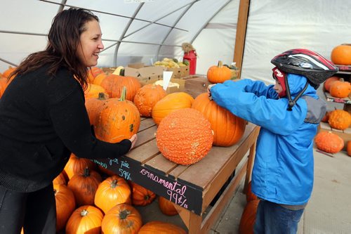 Pam Rubachuk and her son Lucas (along with kids from Pam's St. Boniface daycare) shop for a pumpkin on Oct. 9 at Jardins St-Léon Gardens on St. Marys Road. Photo by Jason Halstead/Winnipeg Free Press RE: Standup photo