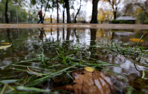 A large puddle on Assiniboine Avenue, Monday, October 12, 2015. (TREVOR HAGAN/WINNIPEG FREE PRESS) for carol sanders story