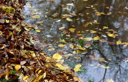 A large puddle on Assiniboine Avenue, Monday, October 12, 2015. (TREVOR HAGAN/WINNIPEG FREE PRESS) for carol sanders story