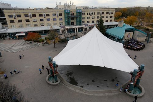 Johnston Terminal. Canopy. At The Forks. For RIVER PROJECT Sunday, October 11, 2015. (TREVOR HAGAN/WINNIPEG FREE PRESS)