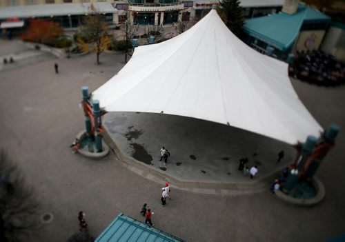 Canopy. At The Forks. For RIVER PROJECT Sunday, October 11, 2015. (TREVOR HAGAN/WINNIPEG FREE PRESS)