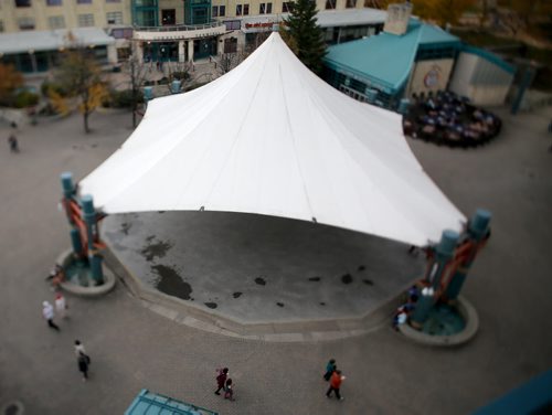 Canopy. At The Forks. For RIVER PROJECT Sunday, October 11, 2015. (TREVOR HAGAN/WINNIPEG FREE PRESS)