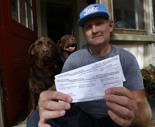 Curtis Starkell with his pet registration renewal notices for his two chocolate Labs Lola,left, and Capone. For story on City hall is cracking down on its pet licensing.  Aldo Santin story.  Wayne Glowacki / Winnipeg Free Press October 16 2015