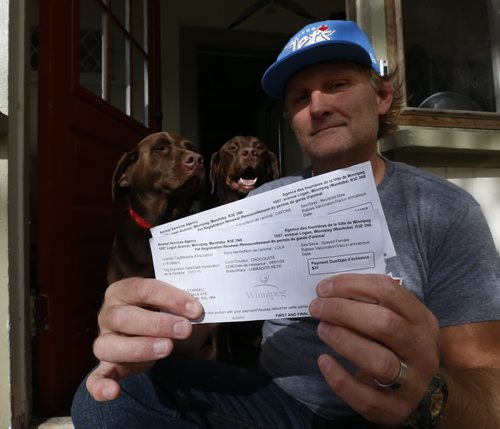 Curtis Starkell with his pet registration renewal notices for his two chocolate Labs Lola,left, and Capone. For story on City hall is cracking down on its pet licensing.  Aldo Santin story.  Wayne Glowacki / Winnipeg Free Press October 16 2015
