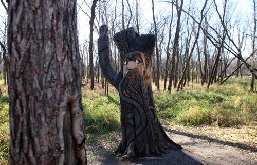 Bois-des-Esprits trail system along the Seine River home of Woody, the 3 metre high carved spirit tree -See  River 49.8 story -Oct 19, 2015   (JOE BRYKSA / WINNIPEG FREE PRESS)