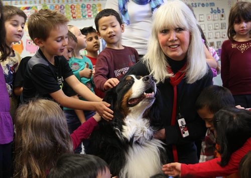 Volunteers column for the Oct. 26 issue features 71-year-old Barbara McDole.  McDole is a retired teacher, volunteers her time visiting classrooms with her specially trained dog, Cargo.  Grade one students in Lois Mackay's class at Dr. D W Penner School visit with her dog, Cole Thursday afternoon     Oct 22, 2015 Ruth Bonneville / Winnipeg Free Press