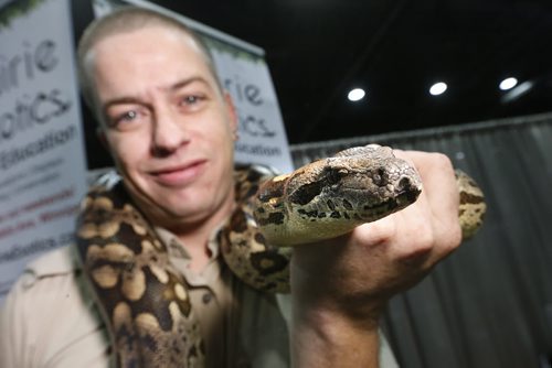 October 24, 2015 - 151024  -  Steve Rempel, owner of Prairie Reptiles was showing off Phoebe a Dumerils Boa and his services at the first Winnipeg Pet Show at the Convention Centre Saturday, October 24, 2015. John Woods / Winnipeg Free Press