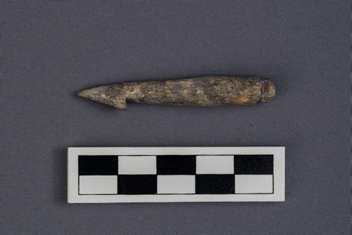 Kevin Brownlee, curator of archeology at Manitoba Museum, showcases a few artifacts in the collections at the Manitoba Museum that were recovered from various digs at the forks and area. A harpoon carved from a mammal bone recovered from a dig at The Forks. 150922 - Wednesday, September 23, 2015 -  MIKE DEAL / WINNIPEG FREE PRESS