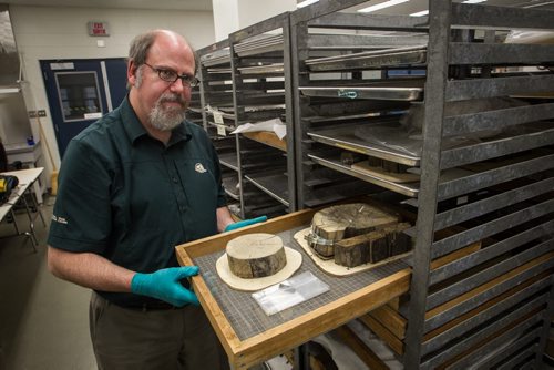 Scott Stephen, an historian at Parks Canada, in the lab at the Parks Canada office in Winnipeg. 150924 - Thursday, September 24, 2015 -  MIKE DEAL / WINNIPEG FREE PRESS