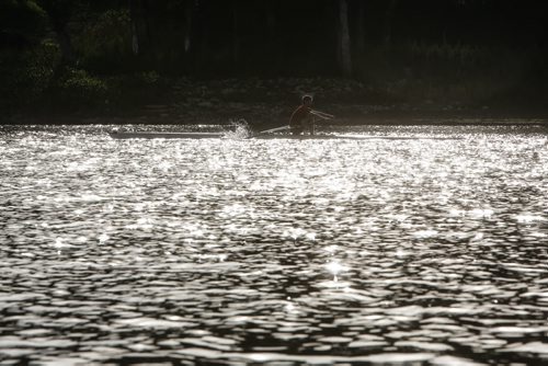 Members of the Winnipeg Rowing Club during an early morning practice on the Red River.  150919 - Saturday, September 19, 2015 -  MIKE DEAL / WINNIPEG FREE PRESS