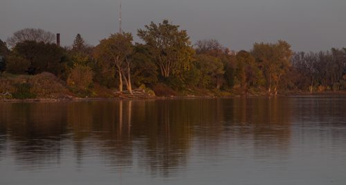 Trees line the banks of the Red River on the north side of Point Douglas. 150929 - Tuesday, September 29, 2015 -  MIKE DEAL / WINNIPEG FREE PRESS